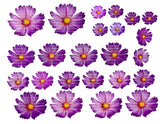 EDIBLE FLOWERS , daisy Flowers , pink, blue, or purple edible daisies, pre cut wafer paper, 24 pre cut pieces, various sizes, wafer paper, cake, cake pops  cake decoration, cupcake toppers