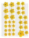 Edible flowers, hibiscus flowers, 23sweets.com , edible cake decoration