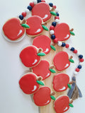 Teacher Appreciation cookies, simple APPLE themed COOKIES  vibrant bold colours royal icing DECORATED -COOKIES