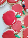 Teacher Appreciation cookies, simple APPLE themed COOKIES  vibrant bold colours royal icing DECORATED -COOKIES