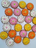 COOKIES, Gerbera flowers cookies, 1 dozen custom cookies , COOKIES  royal icing DECORATED COOKIES