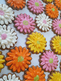 COOKIES, Gerbera flowers cookies, 1 dozen custom cookies , COOKIES  royal icing DECORATED COOKIES