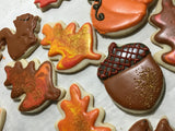 COOKIE PLATE "FALL” themed, 1 dozen decorated cookies, sugar cookies
