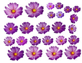 EDIBLE FLOWERS , daisy Flowers , pink, blue, purple edible daisies, pre cut wafer paper, 24 pre cut pieces, various sizes, wafer paper, cake, cake pops  cake decoration, cupcake toppers
