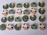 FARM THEMED COOKIES  royal icing DECORATED -COOKIES