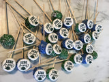 GRADUATION CAKE POPS (1 Dozen) CUSTOM DESIGN