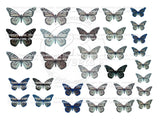 EDIBLE BUTTERFLIES pre cut wafer paper BUTTERFLIES, 32 pre cut pieces, various sizes, wafer paper, cake, cake pops  cake decoration, cupcake toppers