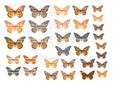 EDIBLE BUTTERFLIES pre cut wafer paper BUTTERFLIES, 32 pre cut pieces, various sizes, wafer paper, cake, cake pops  cake decoration, cupcake toppers