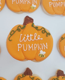 Pumpkin with  tiny bee Custom cookie order , 1 dozen custom cookies