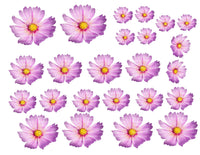 EDIBLE FLOWERS , daisy Flowers , purple, pink, or blue, edible daisies, pre cut wafer paper, 24 pre cut pieces, various sizes, wafer paper, cake, cake pops  cake decoration, cupcake toppers