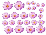 EDIBLE FLOWERS , daisy Flowers , pink, blue, or purple edible daisies, pre cut wafer paper, 24 pre cut pieces, various sizes, wafer paper, cake, cake pops  cake decoration, cupcake toppers
