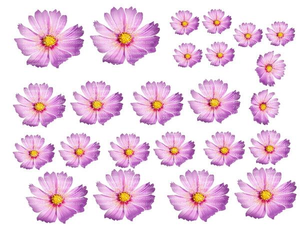 EDIBLE FLOWERS , daisy Flowers , pink, blue, purple edible daisies, pre cut wafer paper, 24 pre cut pieces, various sizes, wafer paper, cake, cake pops  cake decoration, cupcake toppers
