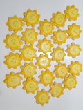 1 dozen Custom Sun themed DECORATED COOKIES  royal icing DECORATED -COOKIES, suns, and plaques SHIPPING INCLUDED