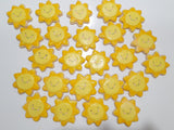 1 dozen Custom Sun themed DECORATED COOKIES  royal icing DECORATED -COOKIES, suns, and plaques SHIPPING INCLUDED