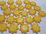 1 dozen Custom Sun themed DECORATED COOKIES  royal icing DECORATED -COOKIES, suns, and plaques SHIPPING INCLUDED