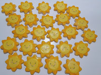 1 dozen Custom Sun themed DECORATED COOKIES  royal icing DECORATED -COOKIES, suns, and plaques SHIPPING INCLUDED