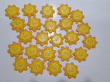 1 dozen Custom Sun themed DECORATED COOKIES  royal icing DECORATED -COOKIES, suns, and plaques SHIPPING INCLUDED