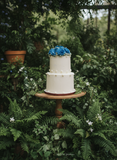 simple wedding cake, 2 tiers, with buttercream roses on top