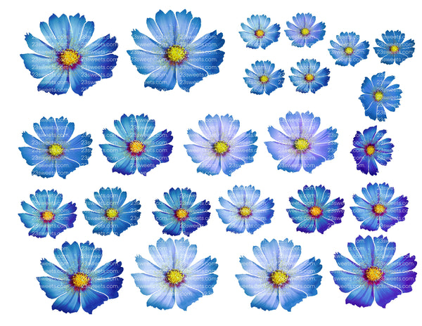 EDIBLE FLOWERS , daisy Flowers , pink, blue, or purple edible daisies, pre cut wafer paper, 24 pre cut pieces, various sizes, wafer paper, cake, cake pops  cake decoration, cupcake toppers
