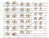 EDIBLE DAISIES, Daisy flowers pre cut wafer paper white daisy flowers, 36 pre cut pieces, various sizes, wafer paper, cake, cake pops  cake decoration, cupcake toppers
