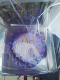 purple cake with gold details by 23sweets.com