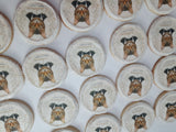 Wildflower Custom Cookie Order, 1 dozen custom cookies, Wild and one-derful themed