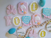 Cake and 1 dozen decorated themed sugar cookies, custom order, one silly Goose themed