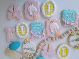 Cake and 1 dozen decorated themed sugar cookies, custom order, one silly Goose themed