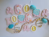 Cake and 1 dozen decorated themed sugar cookies, custom order, one silly Goose themed