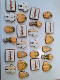 Baby shower “a little pumpkin is on the way” Fall themed baby shower COOKIES  royal icing DECORATED -COOKIES