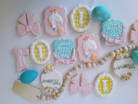 Cake and 1 dozen decorated themed sugar cookies, custom order, one silly Goose themed