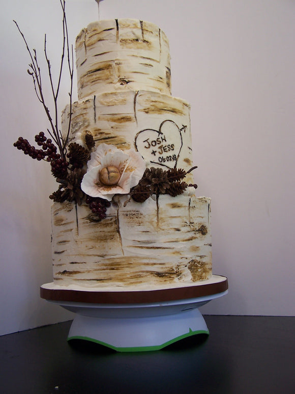 3 tier BIRCH style Cake with gold and pearl details, round cake, birch tree stump style