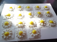 DAISIES, ROYAL  ICING DAISY FLOWERS for cakes, cupcakes or cookies, 1 dozen , approximately 1 inch diameter