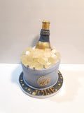 ICE BUCKET with bottle cake, wine bottle cakes, 8 inch round fondant birthday cake