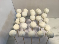 CAKE POPS, CAKEPOPS, 100 cake pops with shipping included, for large events, weddings, corporate events, bulk supply, restaurant supply, coffee shop supply