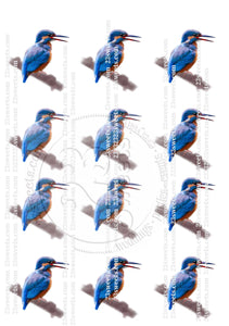 EDIBLE wafer paper BLUE BIRDS 12 pieces, various sizes, wafer paper, cake, cake pops  cake decoration, cupcake toppers